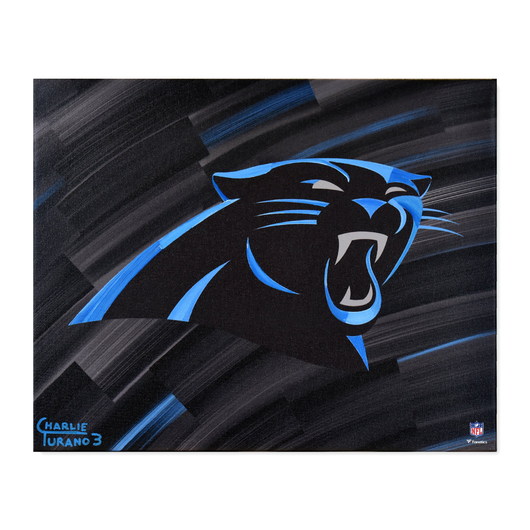 Carolina Panthers 16
