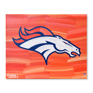 Denver Broncos 16" x 20" Embellished Giclee