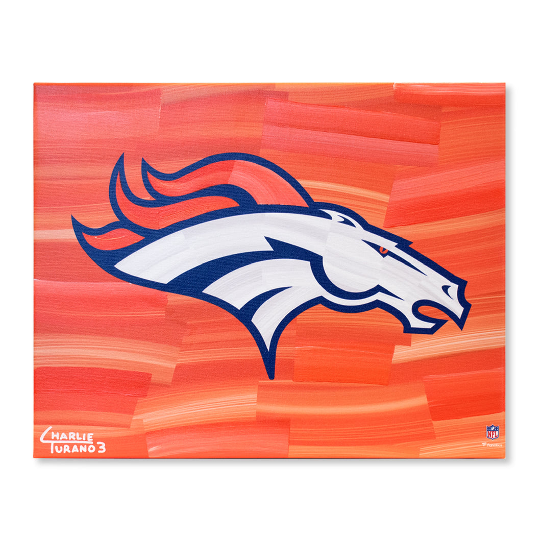 Denver Broncos 16