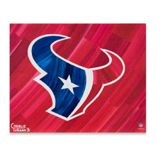 Load image into Gallery viewer, Houston Texans 16&quot; x 20&quot; Embellished Giclee