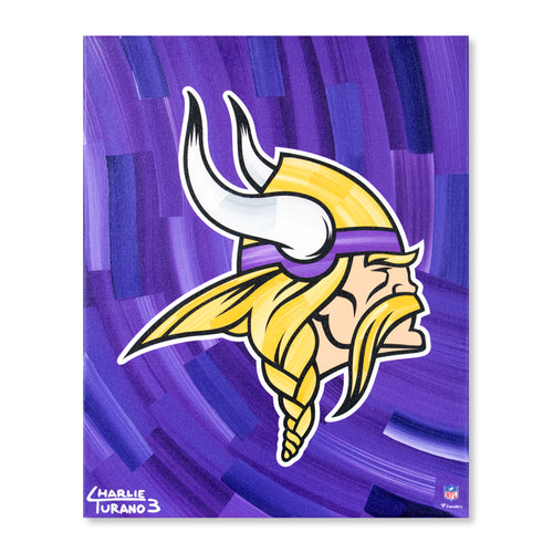 Minnesota Vikings 16