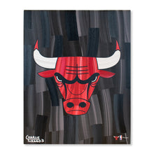 Load image into Gallery viewer, Chicago Bulls 16&quot; x 20&quot; Embellished Giclee