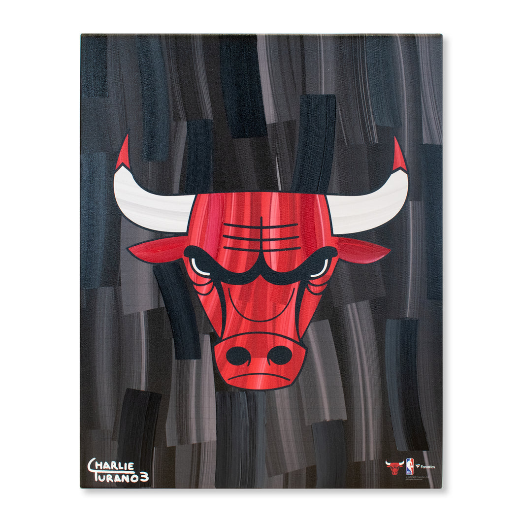 Chicago Bulls 16