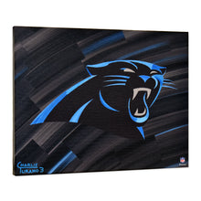 Load image into Gallery viewer, Carolina Panthers 16&quot; x 20&quot; Embellished Giclee