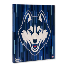 Load image into Gallery viewer, UConn Huskies 16&quot; x 20&quot; Embellished Giclee