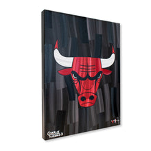 Load image into Gallery viewer, Chicago Bulls 16&quot; x 20&quot; Embellished Giclee