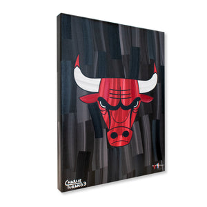 Chicago Bulls 16" x 20" Embellished Giclee