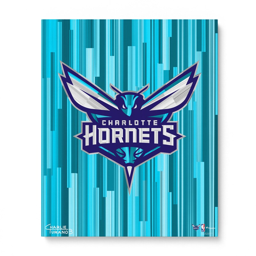 Charolette Hornets 16