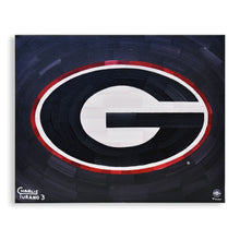 Load image into Gallery viewer, Georgia Bulldogs 16&quot; x 20&quot; Embellished Giclee (Black)